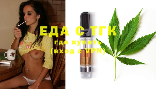 тгк Ельня