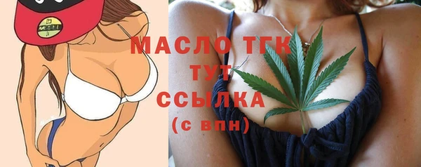 тгк Ельня