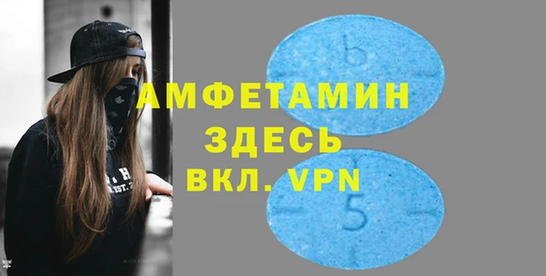 тгк Ельня