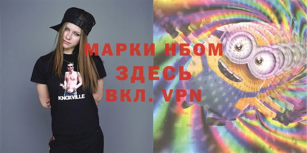 тгк Ельня