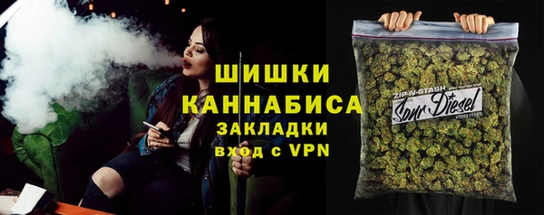 тгк Ельня