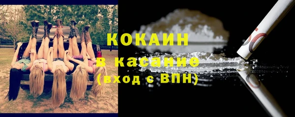 тгк Ельня